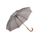 Automatic Umbrella