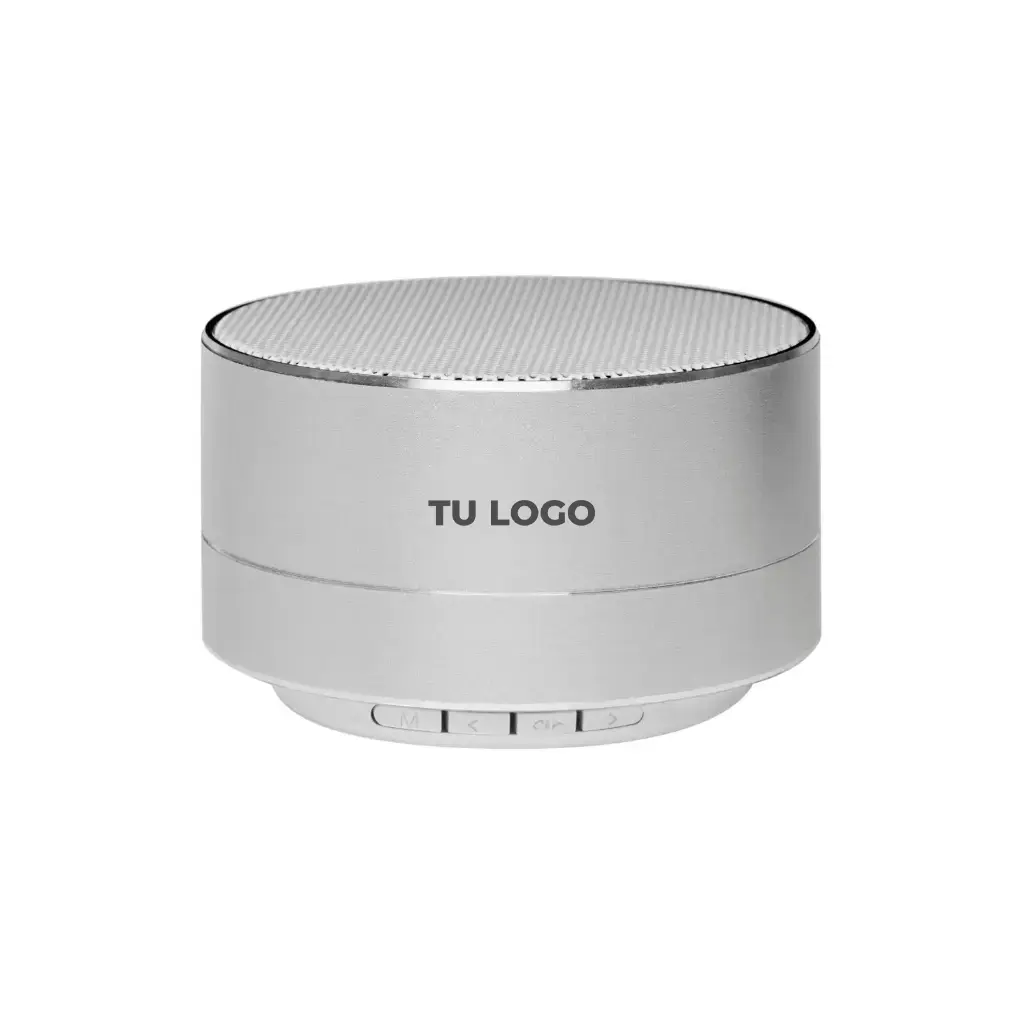 Silver Speaker