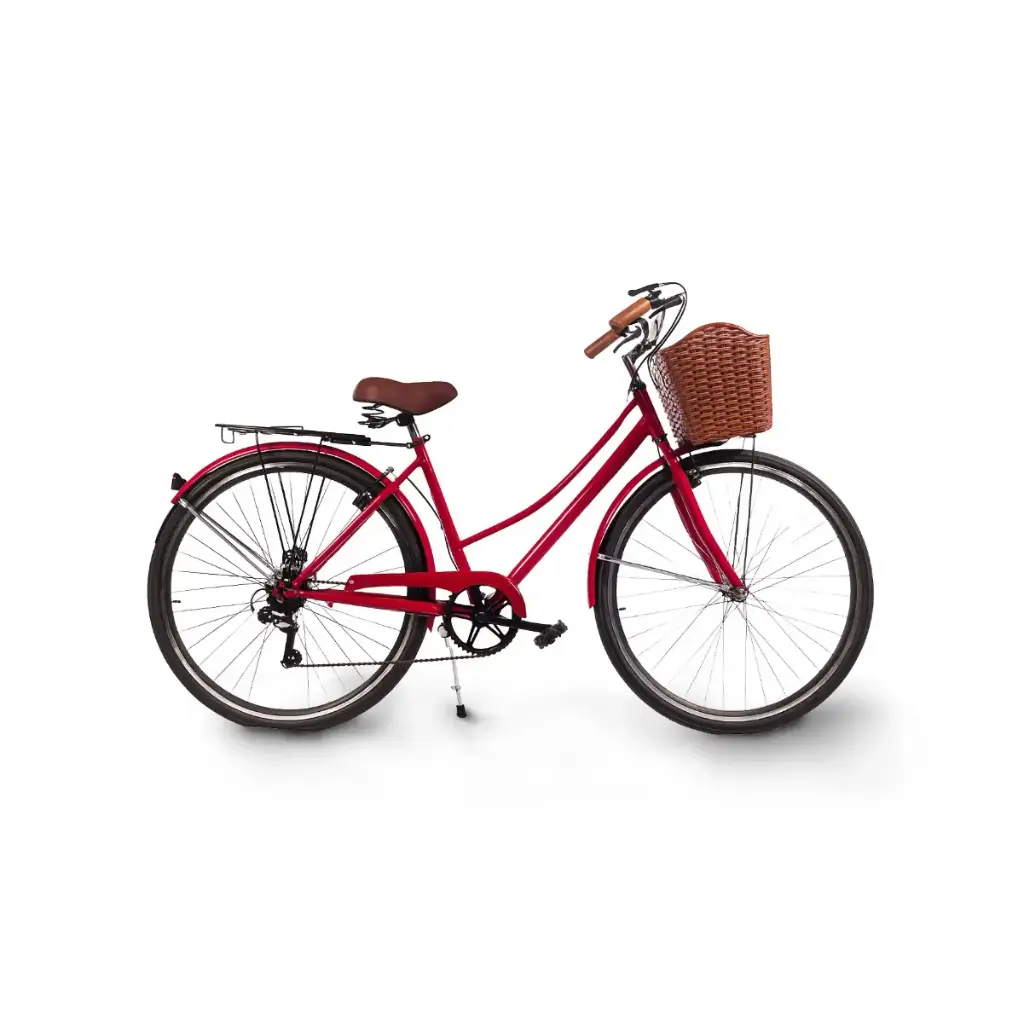 Bicicleta de Paseo