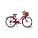 Bicicleta con Canasto