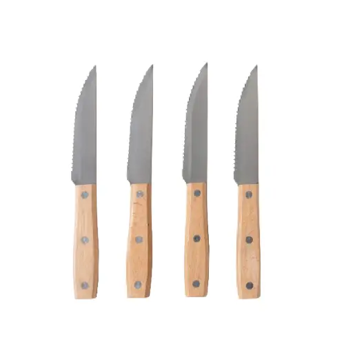 Set x 4 Cuchillos Mango